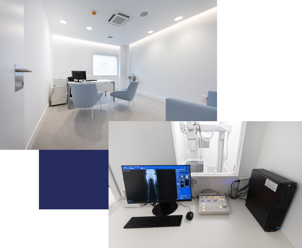 Equipo de fisioterapeutas